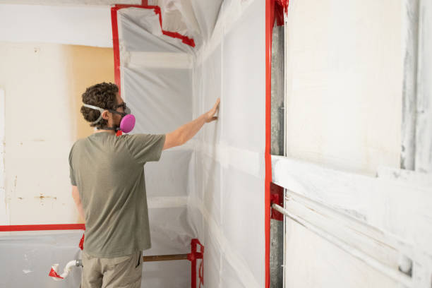 Mold Odor Removal Services in Lampeter, PA