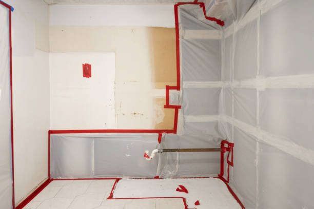 Best Basement Mold Removal  in Lampeter, PA