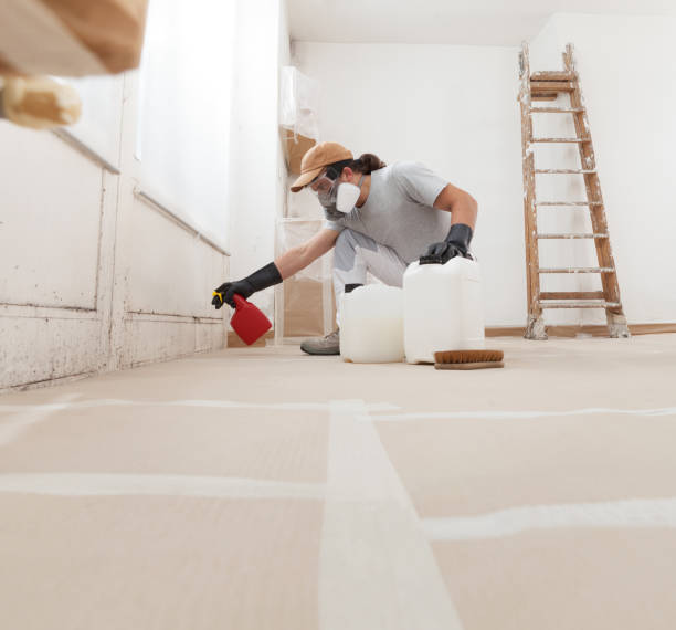 Best Post-Construction Mold Inspection  in Lampeter, PA